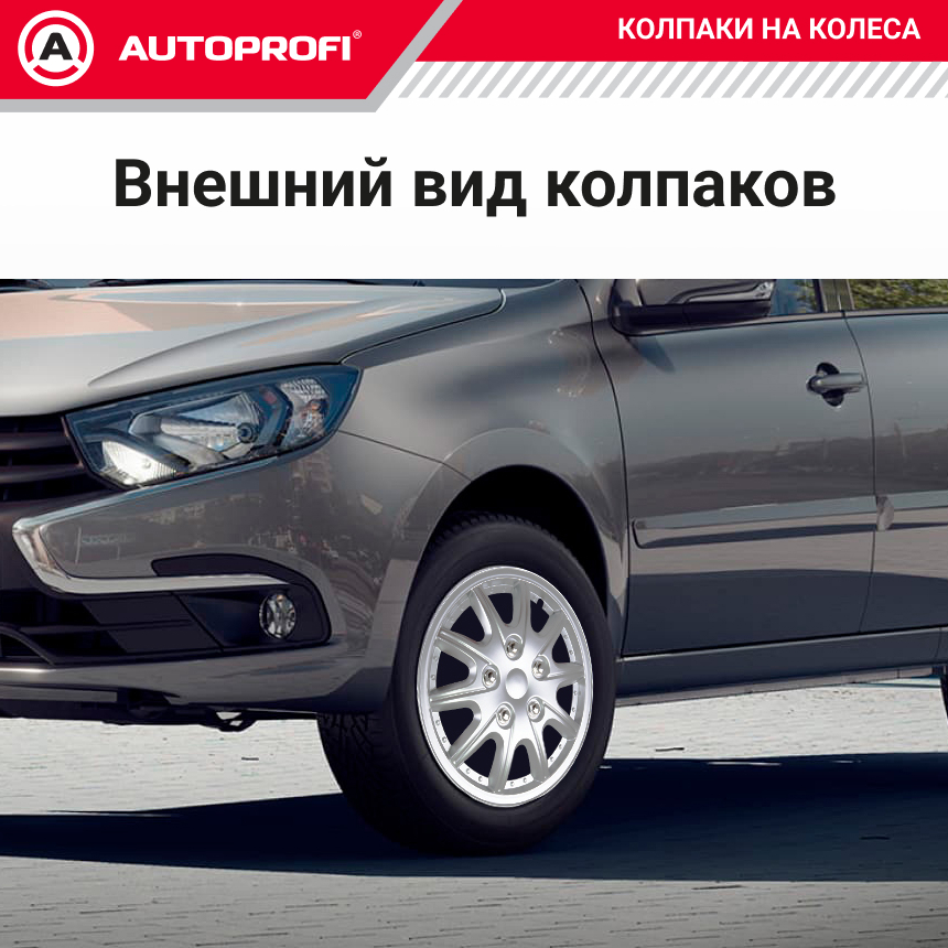 Колпаки на колёса AUTOPROFI WC-2025 SILVER (16)